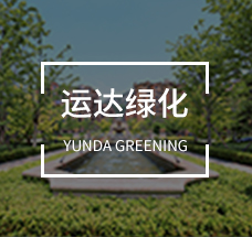 運(yùn)達(dá)綠化